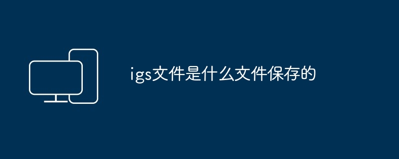 igs文件是什么文件保存的